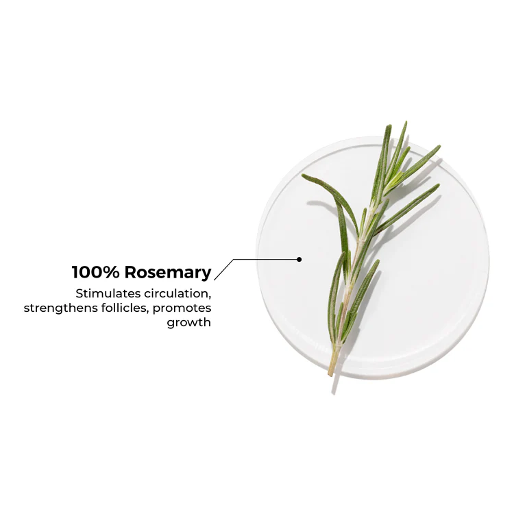 100% Rosemary Essential Oil for Hair Growth - Image 4