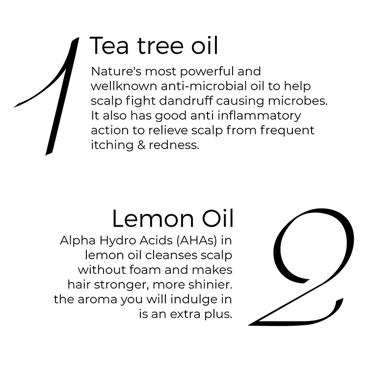 Dandruff Control Shampoo, Conditioner & Tea Tree Oil Combo - Image 3