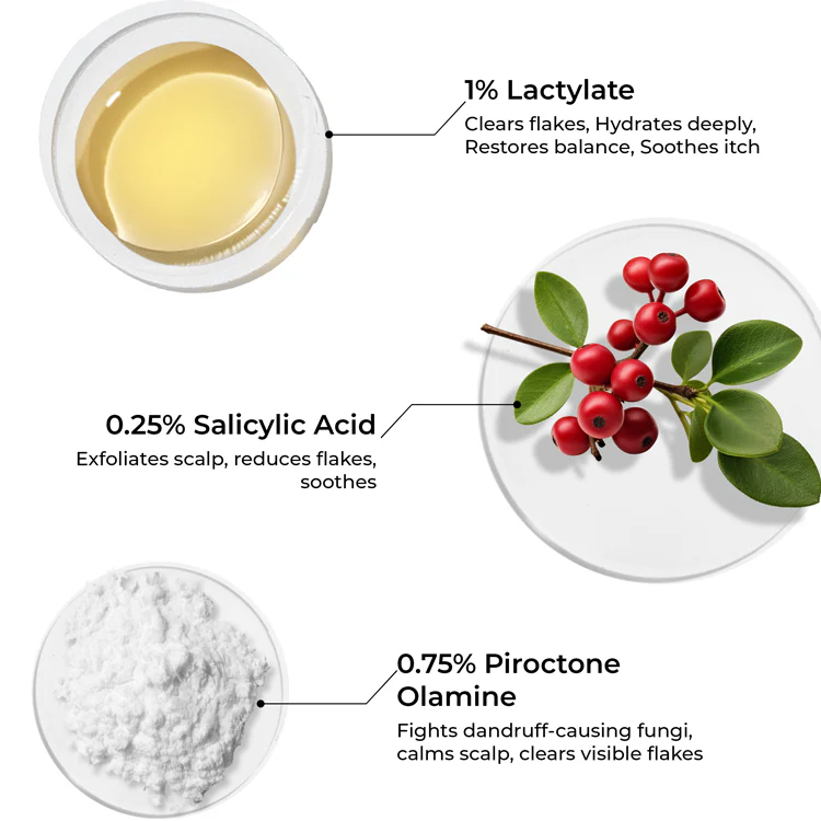 Lactylate Shampoo To Reduce Dandruff - Image 4
