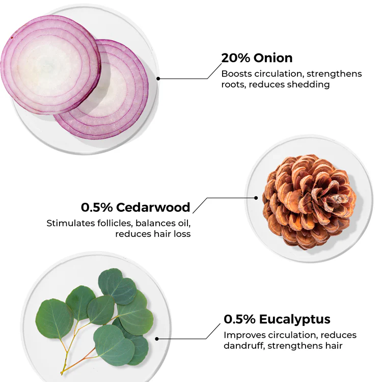 Onion Hair Oil for Hair Fall Reduction - Image 4