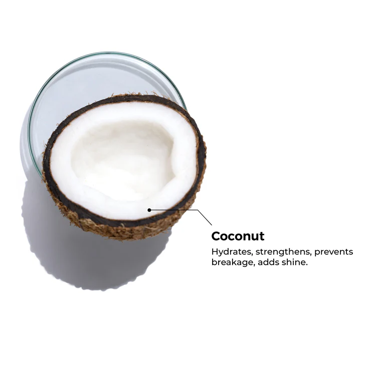 Pure Coconut Oil - Image 4