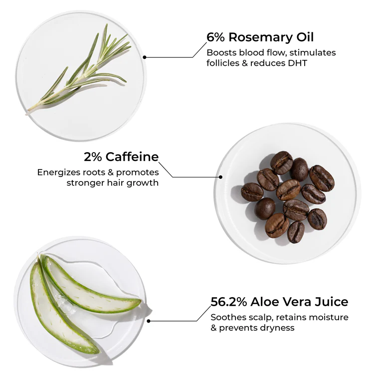 Rosemary Shampoo for Visible Hair Growth - Image 3