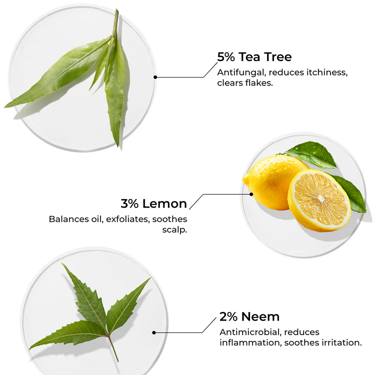 Tea Tree Hair Oil for Dandruff Control - Image 4