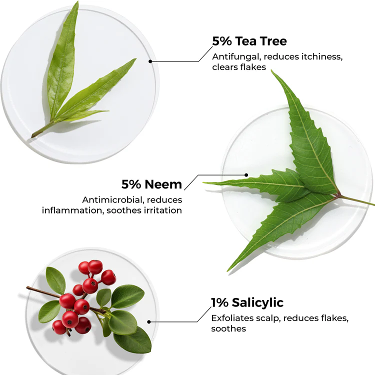 Tea Tree & Salicylic Oil Shots For Dandruff Control - Image 5